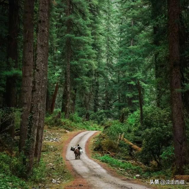 失落的地平线(失落的地平线电影)