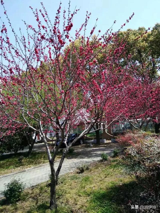 素质教育与学科学习应对立吗，小学就开始开设素质教育课，支持吗，谈谈看法