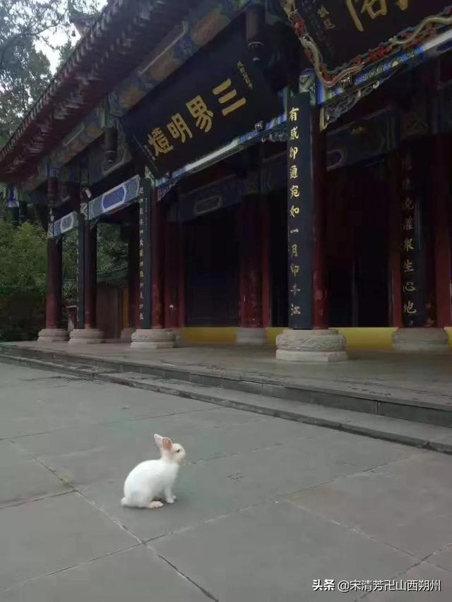 梦到卫星坠落爆炸,你有过哪些神奇而又可怕的梦境？