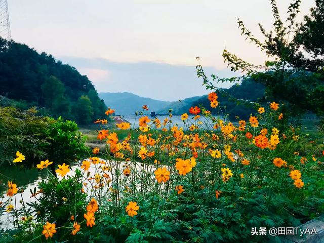 有没有几张自己拍摄的好的乡间图片