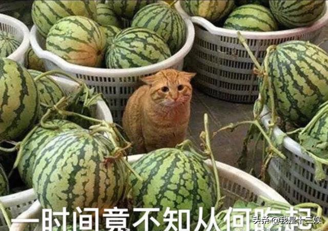 杨臭脚:你见过哪些特别搞笑的外号