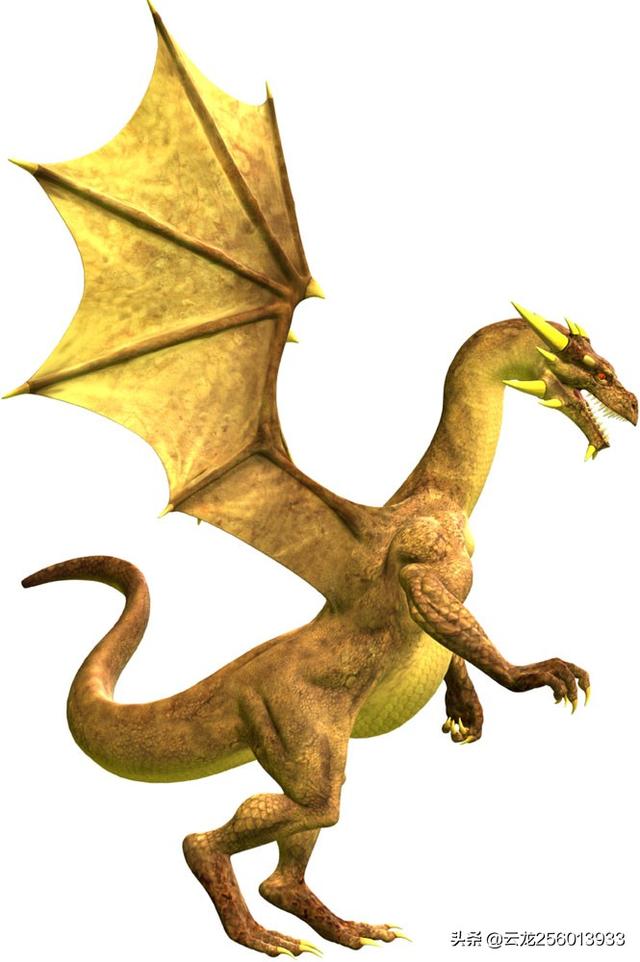 头条问答 - 传说中龙到底什么样子的?(21个回答)