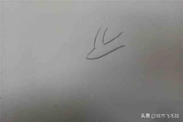 我和我的宠物画:养什么样的宠物跟人的性格有关吗？