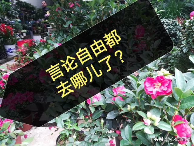 特朗普的社交平台被永久性封禁,美国的言论自由都到哪里去了呢？