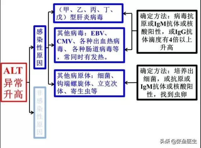 钩端螺旋体病血清:狗狗感染了钩端螺旋体病在什么症状下不能医治了？