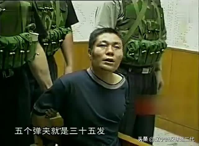 张君从1991年到2000年作了哪些案子？