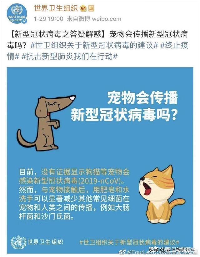 犬冠状病毒:新型冠状病毒会不会传染给家养宠物？为什么？