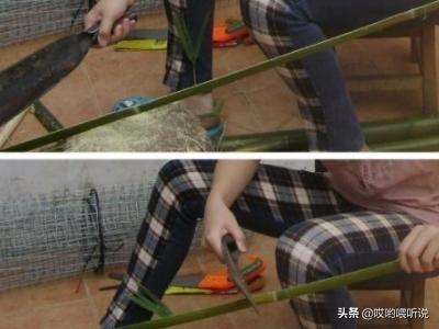 竹鸟笼批发:教大家如何选用竹子制作鸟笼？