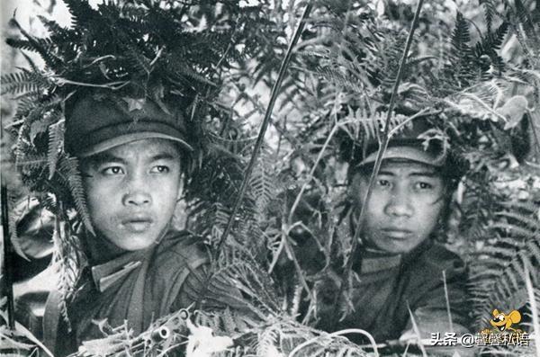 战场上能一直活着的老兵真的只是运气吗？插图13