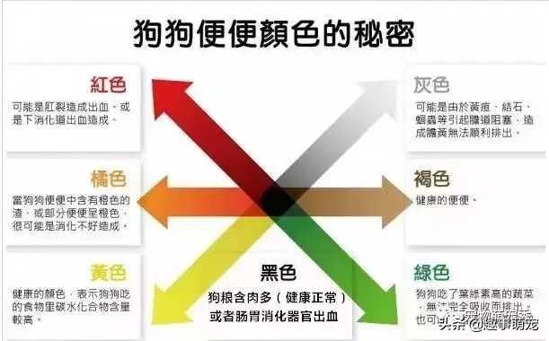 萌宠铲屎官是什么意思:对狗和爱狗人士极端厌恶的人是怎么想的？