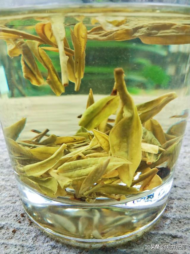 茶叶的泡法和用具冲茶时茶叶和水应放多少才算最好