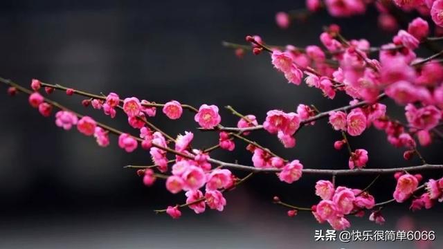 500块钱,怎么能让它快速的钱生钱？