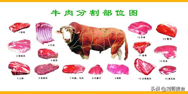 头条问答 牛肉选择什么部位 才可以炖烂 不柴 为何 刘哥美食的回答 0赞