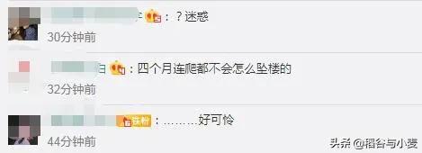 阿娇头部重伤:阿娇离婚，为什么有人说她该嫁给陈冠希