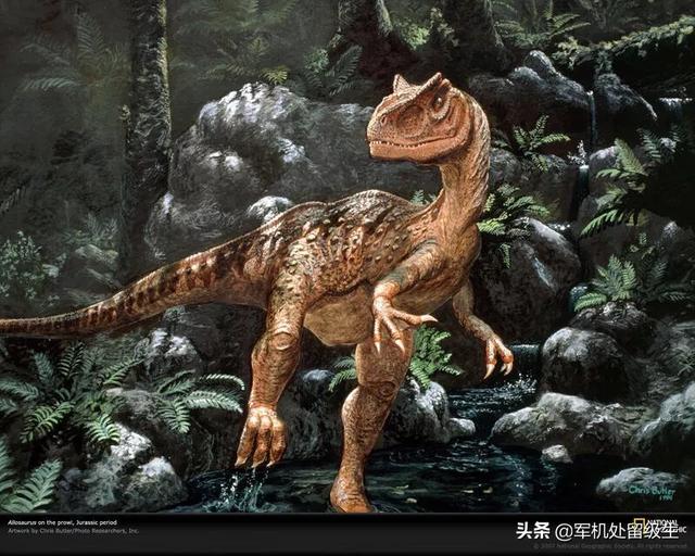 异特龙对剑龙,谁会赢?