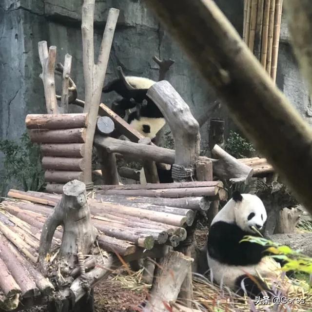 成都市周边有哪些自驾游好地方？