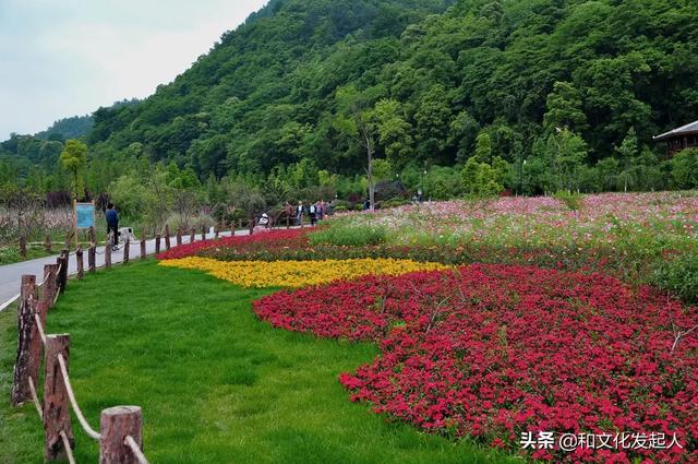 有哪些古文,让你记忆犹新？