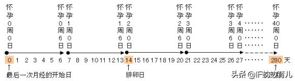 孕妇怀胎几月才能分娩:狗狗怀孕什么时候生，要做些什么？