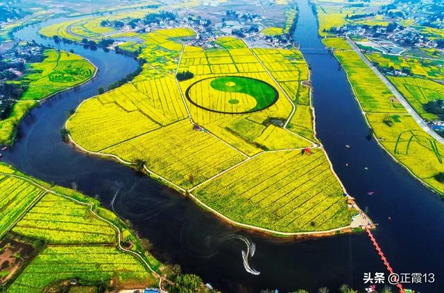 去哪里看油菜花(去哪里看油菜花最好看)