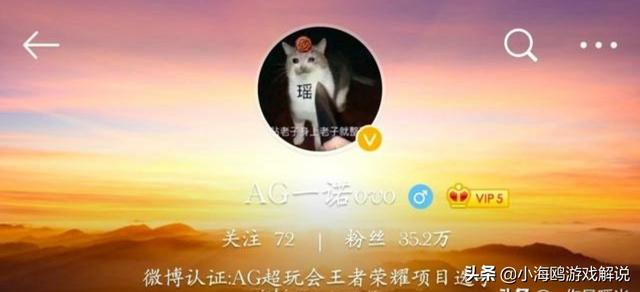 AG野辅不合“实锤”了,一诺换上嫌弃辅助的头像,爱思质问“你什么意思”,如何看待？
