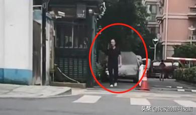 前略我与猫和天使同居外传:如果许某的儿子买得起房，会不会就不会有这起碎尸案了？