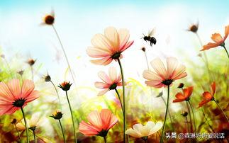 凶兽饲养手册:凶兽饲养手册 总是因为孩子做的不够好凶孩子，凶后又后悔的睡不着，怎么办？