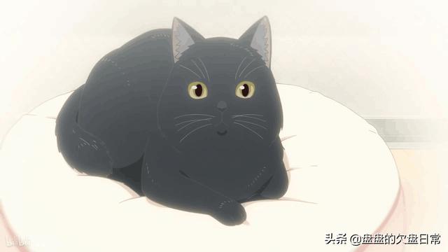 漫画甜蜜猫猫:动漫作品中有哪些有趣的猫的形象？
