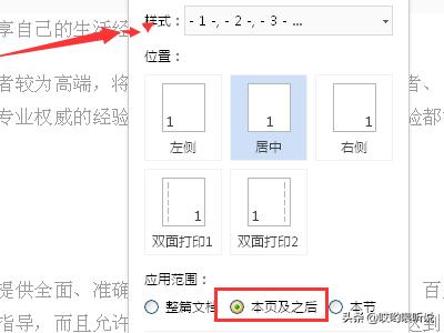 wps怎么设置页码,怎么用WPS设置不同页码？