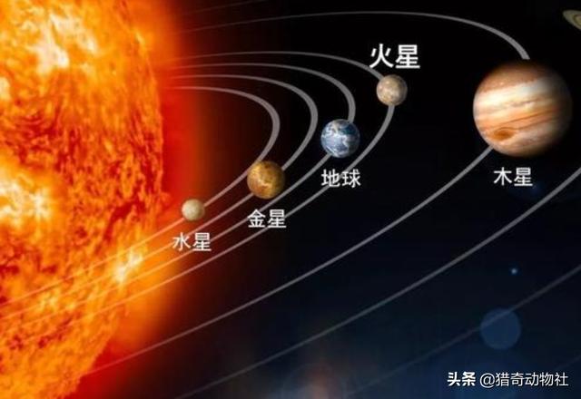 火星异种蟑螂吃什么:如何评价漫画《火星异种》？