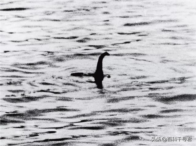尼斯湖水怪真的假的，尼斯湖水怪就竟是什么动物