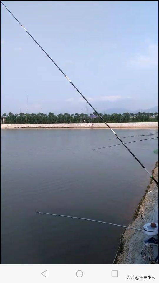 鸡肝猪肝钓胡子鱼视频:鸡肝泥鳅钓鲶鱼视频 抛竿钓鲶鱼用什么钩好，是串钩还是盘钩？钓饵是鸡肝？