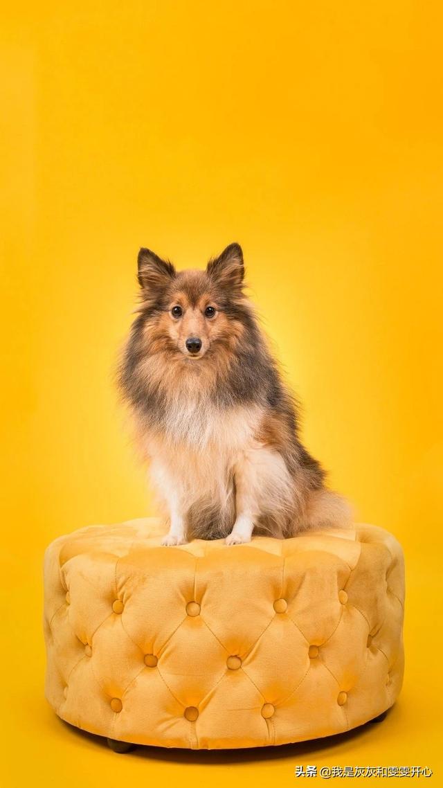 雕刻艺术学校,有私人艺术学校吗？可不可以自费学设计？