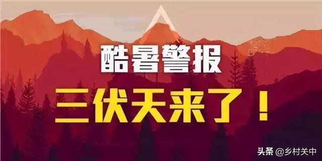 入伏从哪天算起2020年:今日夏至，俗语“夏至三庚入伏”，啥意思？今年啥时入伏呢？
