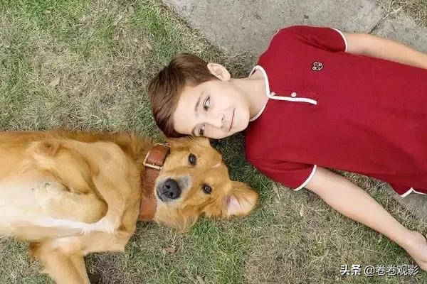 经典动物电影狗狗心事:关于感人的动物电影都有哪些？