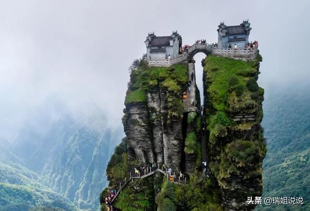 杜鹃花多少钱一株楼梯:赣州的苗木花卉主要有些什么品种？哪个比较好？