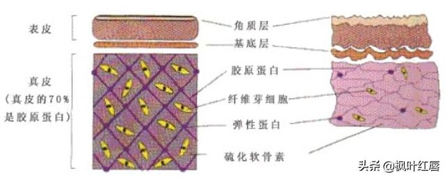 40岁护肤品排行榜10强,四十五岁用什么护肤品比较好呢？