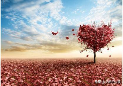 天生是优我耿清清:你们见过最失败的家庭教育是什么样的
