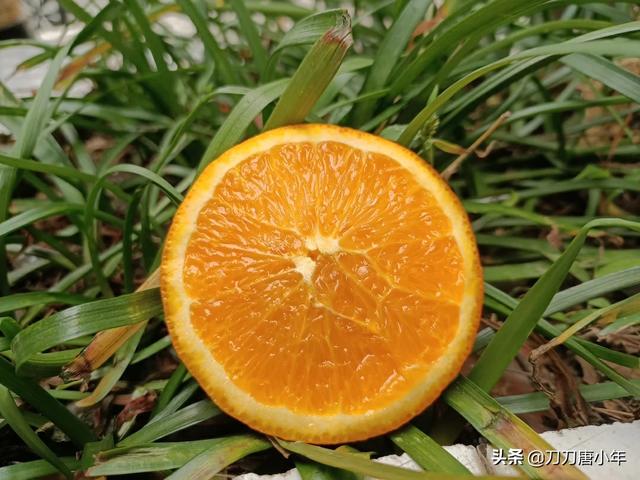 宝妈在家怎么兼职赚钱:宝妈在家带孩子，有什么兼职可做吗？做自媒体能挣到<a href=https://maguai.com/list/55-0-0.html target=_blank class=infotextkey><a href=https://maguai.com/list/55-0-0.html target=_blank class=infotextkey>生活</a></a>费吗？