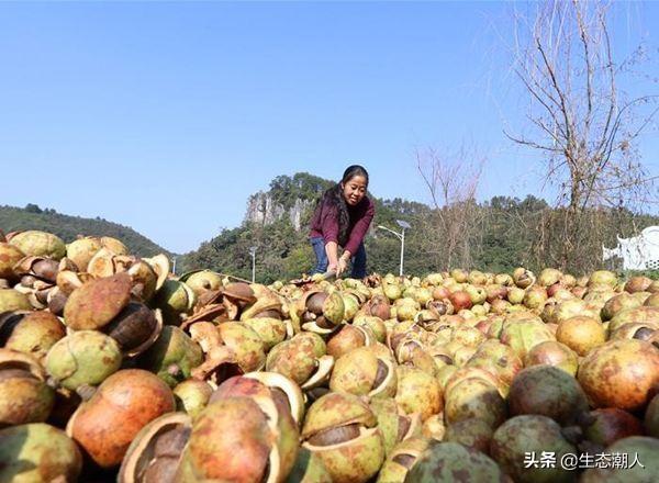 重走创业路，创业失败了，我该如何面对接下来的人生