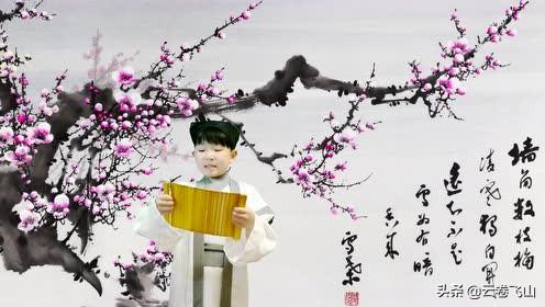 写诗是否可以不讲数理逻辑胡说八道呢？请以王安石《梅花》为例解释一下好吗？