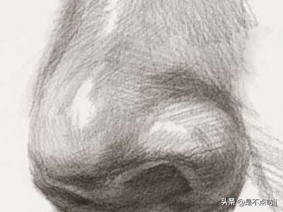 鼻子怎么画,素描入门教程：怎样画好鼻子？