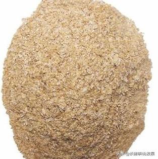 后备母猪可以喂米糠吗？
