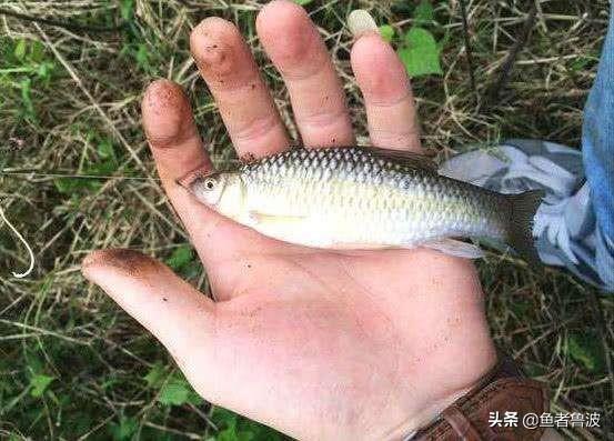 钓鱼人有没有一瞬间感觉到杀生太多？