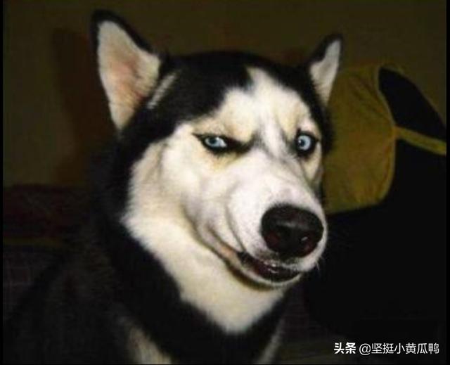 想换个微信头像,各位大神有没有好看点的图片？