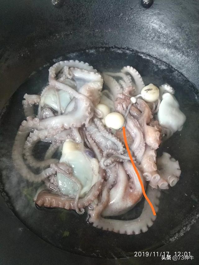 怎样焯八爪鱼，章鱼有几只触手，怎么做好吃