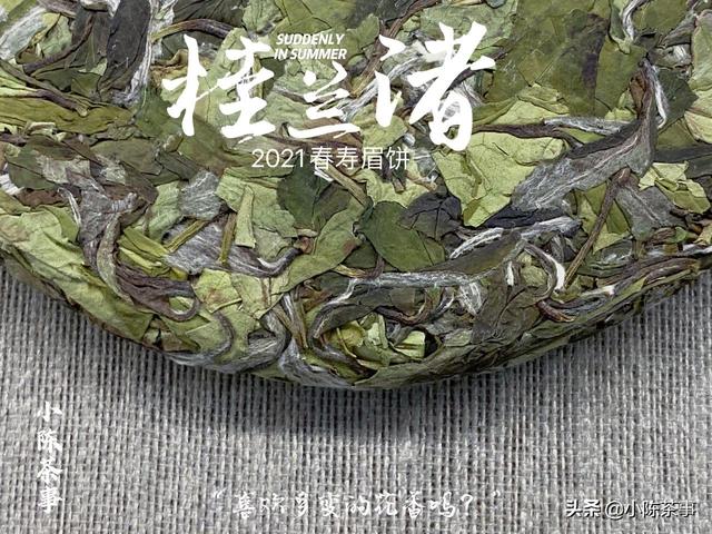 白茶属于什么茶类,白茶是不是就是绿茶？有何依据？