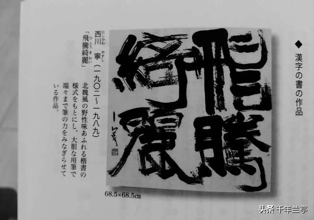 日本电影贝鲁娜的尾巴:什么是你去了日本后才知道的？