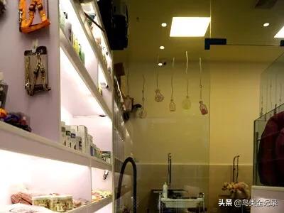 悠莉宠物店4免费阅读:宠物店的商品如何定价呢？