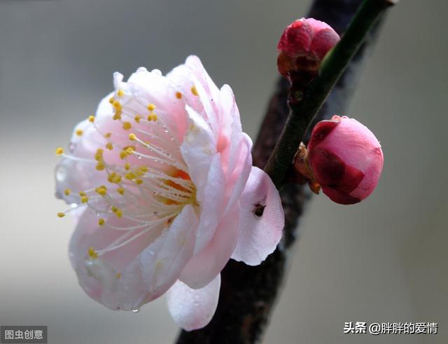 <a href=https://maguai.com/list/256-0-0.html target=_blank class=infotextkey>朋友圈</a>图片配图 励志 心情:求几句特别励志，有正能量的句子？