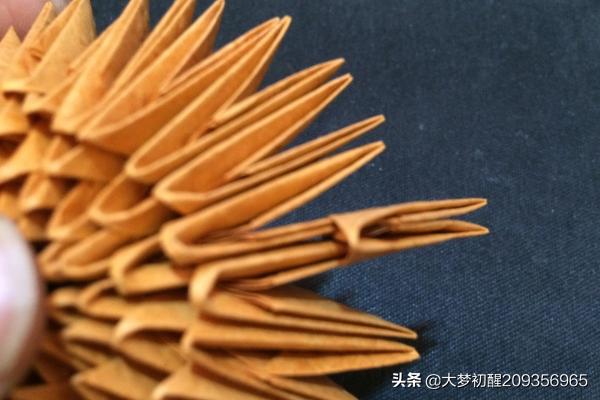 狗狗教程:训狗教程：正确训练狗狗的技巧？